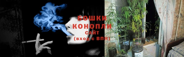 мяу мяу мука Бородино