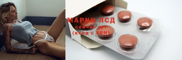 мяу мяу мука Бородино