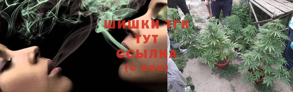 мяу мяу мука Бородино